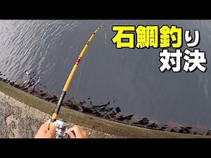 石鯛のアタリが連発するもばらし続ける男 striped beakfish fishing