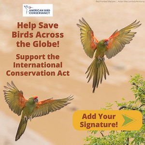 636 reactions · 152 shares |  Help conserve rare and migratory birds...
