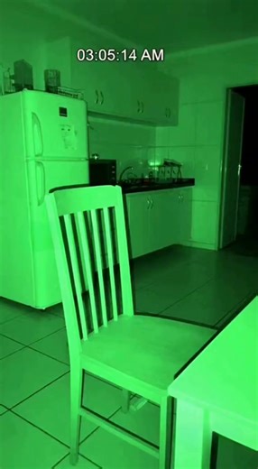 Real Cryptids Caught on Camera: Creepy Night Encounters