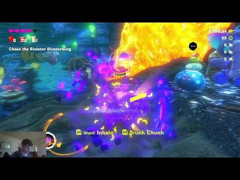 Chasing Blisterwing! DK Bananza!