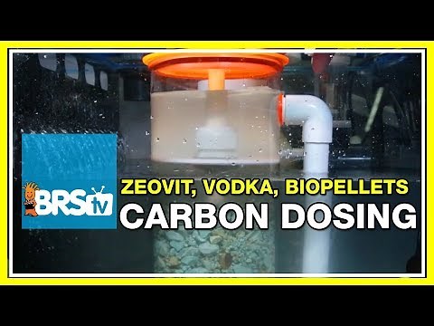 Week 26: How to Leverage Bacteria for a Cleaner Reef Tank. | 52 Weeks of Reefing