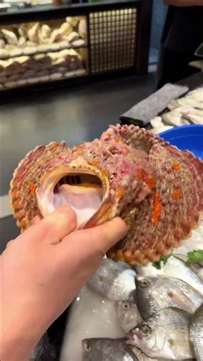 Deadly Stonefish Attack | Fastest Strike Ever Caught 🔥