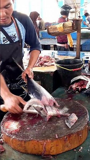 🔥How to Fillet Yellowfin Tuna Like a Pro - Fast & Precise #fishcutting #knifeskills #shorts