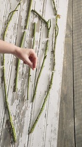 Un cadre aussi élégant qu’écologique à réaliser vous-même, ça vous tente ?🌿 Vous pourrez attirer les papillons, en plus d’éloigner les moustiques ! Psst astuce écolo : optez pour des fleurs séchées pour prolonger la beauté et la durée de vie de votre cadre 🌼🦋 Pour plus de détails 👉 https://depuismonhamac.jardiland.com/un-cadre-vegetal-pour-attirer-les-papillons-ou-eloigner-les-moustiques/ | Jardiland