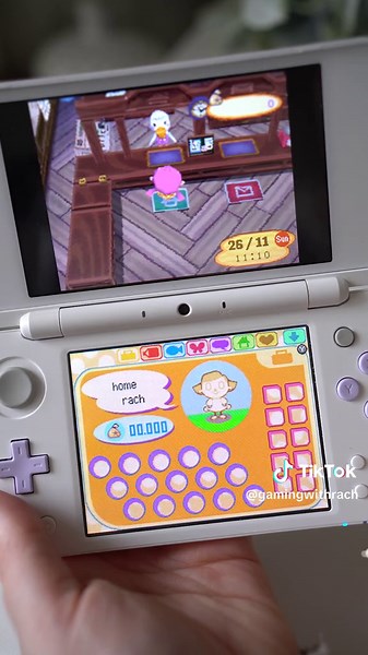 Let's Play Animal Crossing: Wild World on Nintendo DS XL