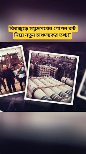 New International Report Highlights Developments in Maritime Shipping Networks and Energy Transport