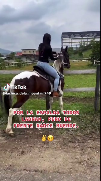 #1 #caballos #⛰️