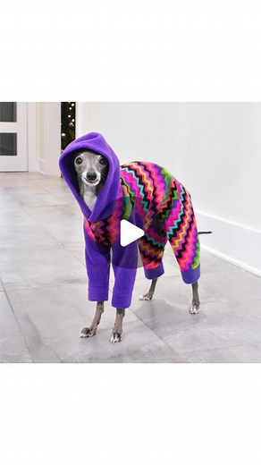 Tika & Kala | 2020, I didn’t appreciate it. Except for all of y’all, and my athleisure wear. 🤗✨ | Instagram