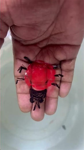 floating drawing with amazing 😍#art #drawing #shorts