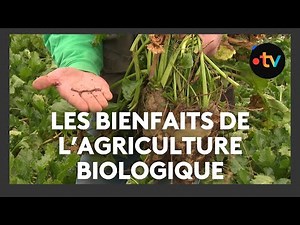 Connaître l'impact de l’agriculture biologique sur la biodiversité pour améliorer ses pratiques