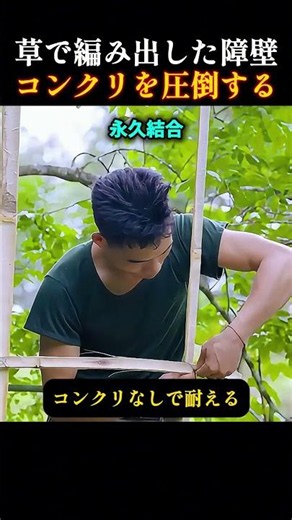 草結びの防壁コンクリ超え