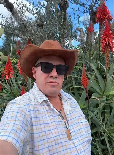 Fernando Reeves-Ramirez (@fernando.reevesra)’s videos with A Rosa e a Abelha - DJ Java