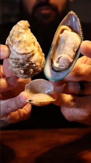 Mussels vs Oysters vs Clams…Which Shellfish Is Best?