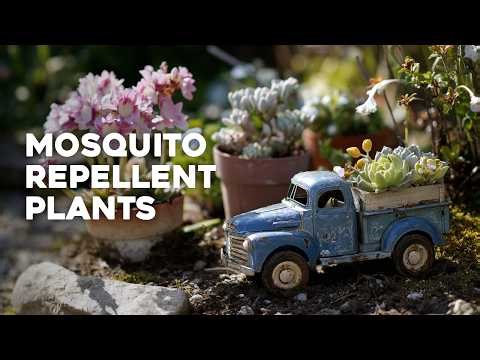 🌸 Creative Upcycled Garden Decor for Spring: Outdoor DIY Ideas 2026