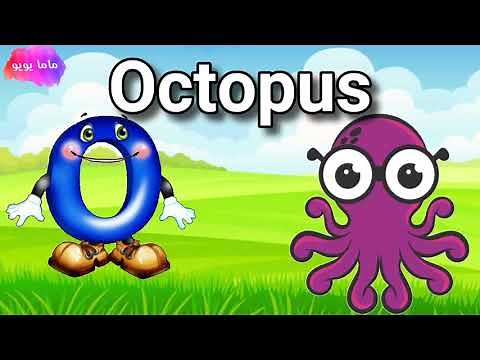 تعليم و كتابه حرف ال O, o للاطفال | تعليم الحروف الإنجليزية للأطفال | ماما يويو