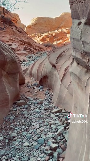 Valley of fire 🔥 #hike #valleyoffire #nevada #vanlife | van life