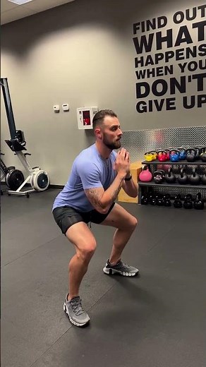 Pulse Squats