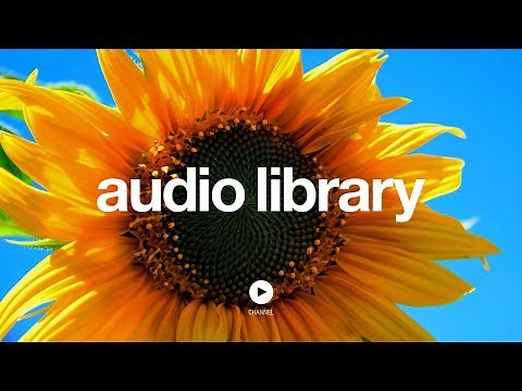 How it Began – Silent Partner (No Copyright Music)