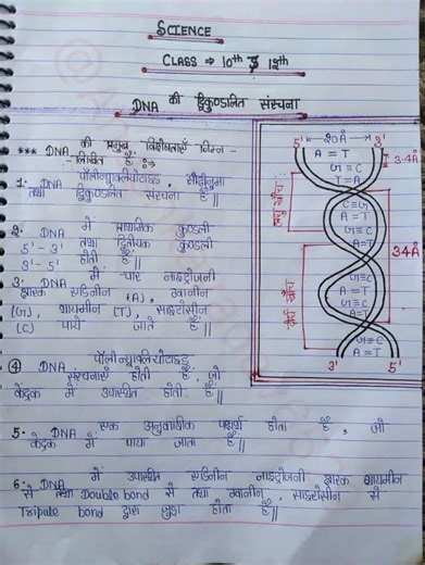 DNA की संरचना। #ytviral #ytshorts #trendingvideos