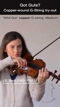 Got Guts? 15: Copper-wound G-string tryout #violin #baroque #baroquemusic #fiddle #baroqueviolin
