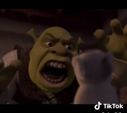 Rescue Puppy Love: The Adorable Shrek 2 Companion