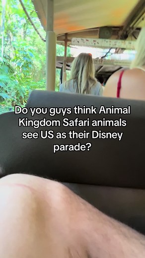 Are they like “oh look another parade! Let’s go see what this one’s like!” Are we their main attraction?! #disney #gooftroopguys #disneyworld #animalkingdom #disneyparade #foryou