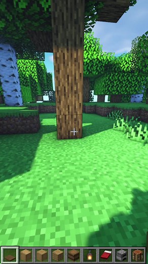 SECRET TINY TREEHOUSE! 🌳 🤫 Minecraft Hacks!