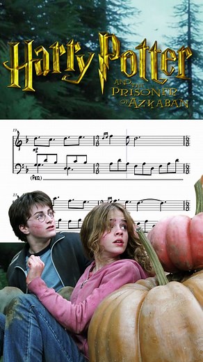 A Window to the Past from Harry Potter | Flute