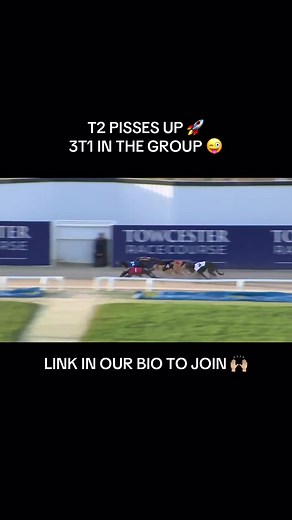 Top Greyhound Racing Tips for Successful Betting