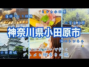 【小田原観光】女ひとり旅✨都心からロマンスカーでアクセス制💯🚈グルメの宝庫🐟景色や歴史も必見‼️