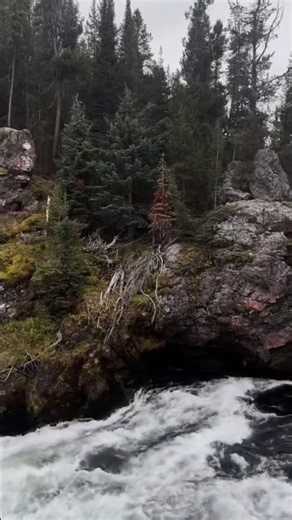 Gloomy day in Yellowstone🌧️ #yellowstone #gloomy #cozy #rainambience #nationalparks #booktube