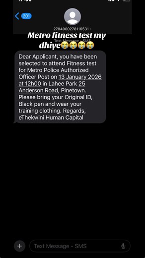 Surviving the Metro Fitness Test: A Personal Journey