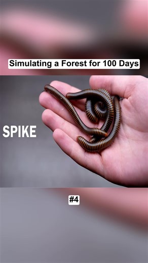 Simulating a Forest for 100 Days #100days #terrarium #vivarium #fish #ecosystem