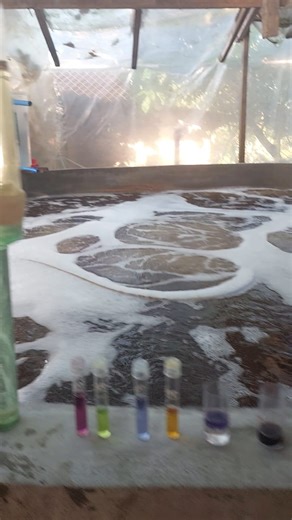 7.1K views · 72 reactions | Saltwater master kit Test for- ammonia, high range ph,nitrites,nitrates Calmag test kit Test for Calcium and magnesium #biofloc #indoorshrimp | Pinoy Palaboy | Facebook