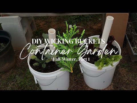 “DIY Wicking Buckets for Fall & Winter Gardening | Easy Container Garden Setup”