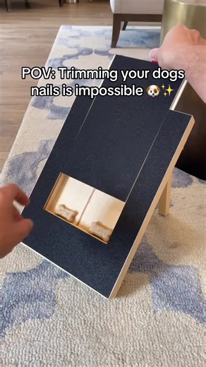 Dog Nail Trimming Tips