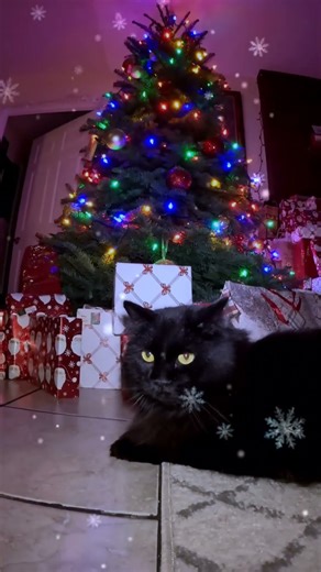 С НАСТУПАЮЩИМ ПРАЗДНИКОМ ВСЕХ!🎄🎁🤗🙏❤️🏠🕊