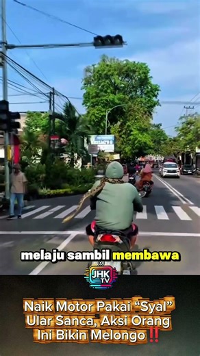 Riding a Motorcycle Wearing a Python Scarf, This Person's Action Will Make You Amazed‼️ #shorts #...