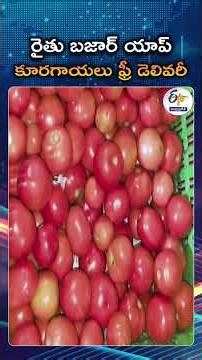 AP Government Launches Rythu Digital Market Connecting Farmers Directly With Customers