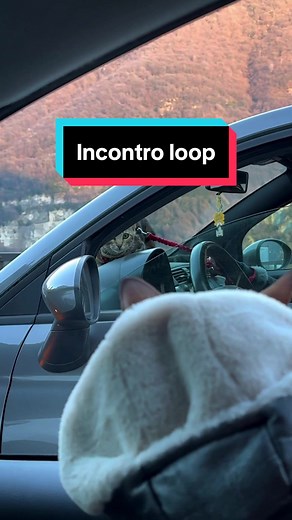 Invontro loop😺😺