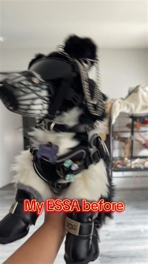 Transforming Zephyr: A Before and After Journey