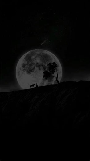 Islamic video Quran verses is so deep and powerful #islamicvideo #aestheic #nature #quran #relaxing