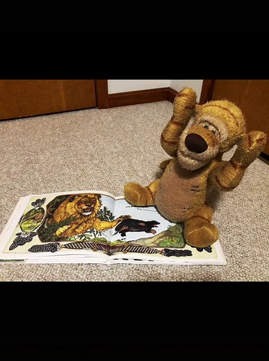 🦡🍯🦁 Tigger’s bedtime story 🐾 #bedtimestory #honeyhoneylion #janbrett #honeybadger #lion #honeyguide #africa #winniethepooh #christopherrobin #thetiggermovie #tigger #tiggerplush #tiggerfan #tiggerisawesome #disneyfan #tuesdaynight #librarybook