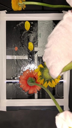 Creative Spring Cleaning with Scanner Art