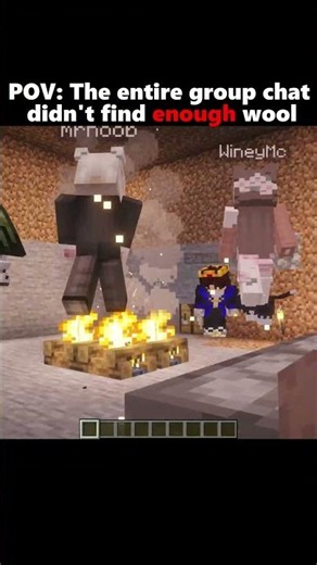 POV: The entire group chat didn't find enough wool..
