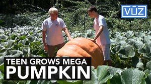 Teen spends summer break caring for giant gourd