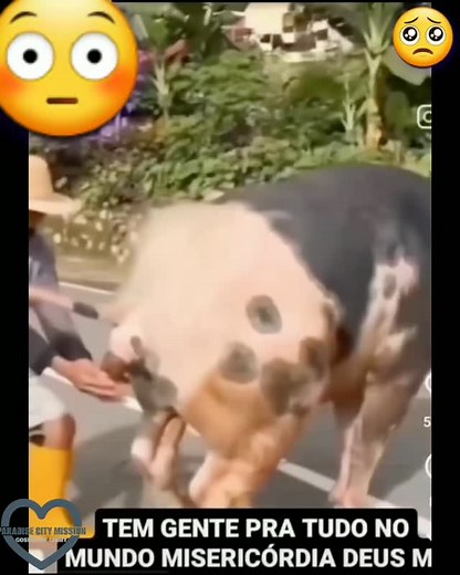 Tabi Moses | OMG😲 😱 PEOPLE DO EAT COW POOP 💩 NOW? WHAT IS HAPPENING IN THIS WORLD TODAY HOW FAR HAVE WE GONE FROM REALITY. | Instagram