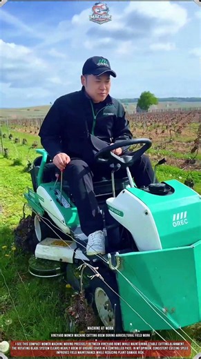 Vineyard Mower Machine Cutting 80cm During Agricultural Field Work