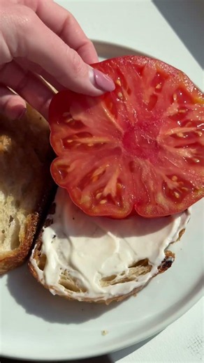 The Hydrophobic Hack: Waterproofing Your Lunch