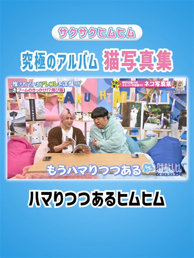 ヒムヒムが紹介する島猫の魅力